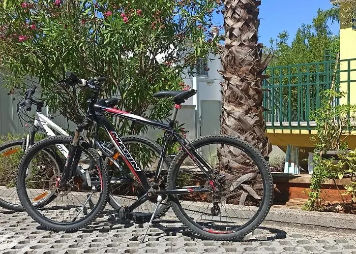 Vukovic * 斯塔里格勒