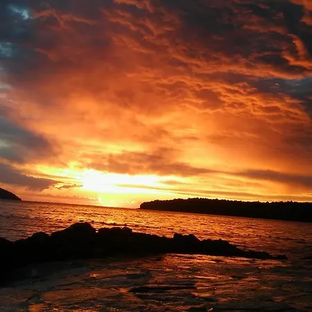 Vukovic Apartamento Stari Grad (Hvar)